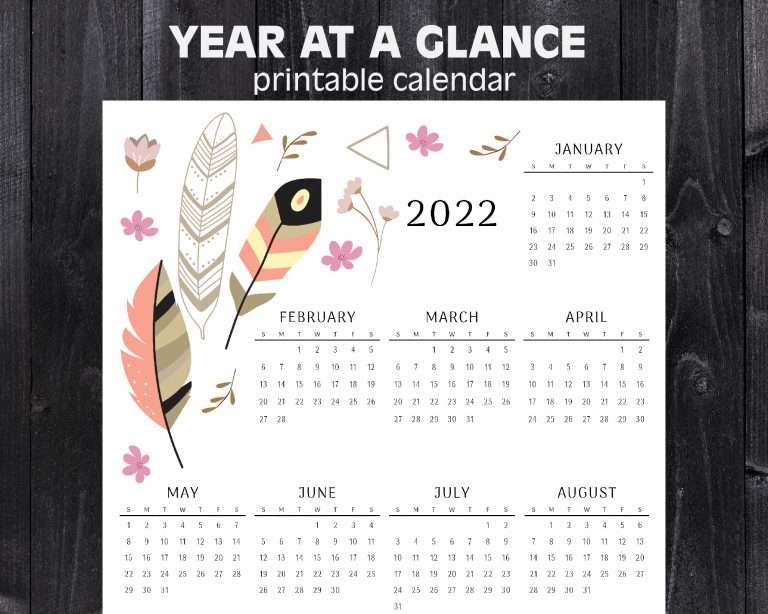 2022 year at a glance calendar feathers printable calendar